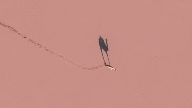 tracking connection attempts status